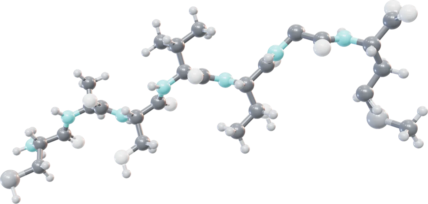 3D model of a seven-residue peptide chain